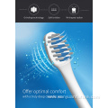 IPX7 Electric Toothbrush Waterproof Adult Sonic Travel Battery operated Toothbrush